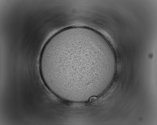 X0000102861183200809021417