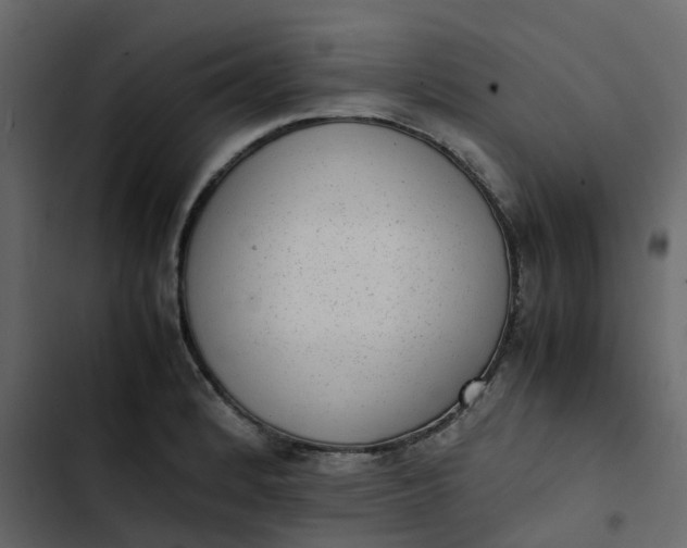 X0000102861184200809021417