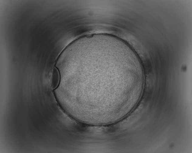 X0000102861185200809021417