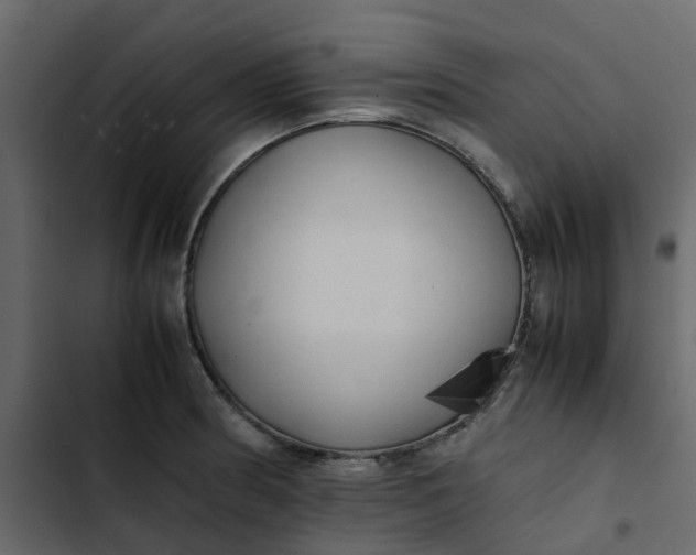 X0000102861186200809021417