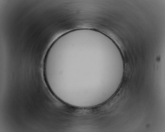 X0000102861187200809021417