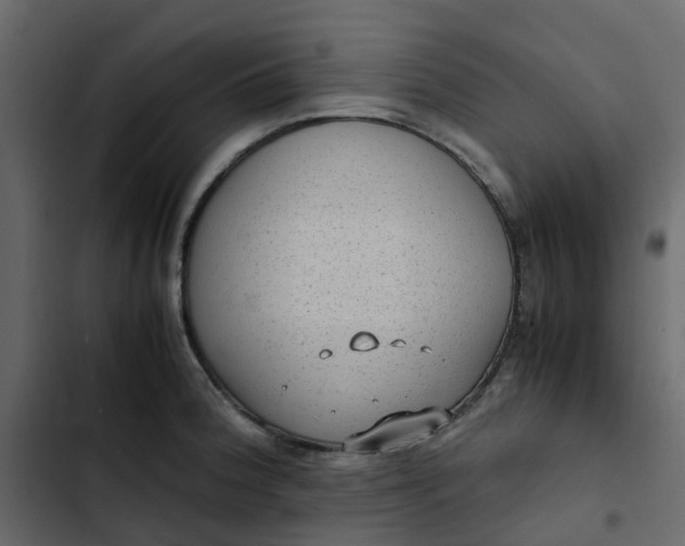 X0000102861188200809021417