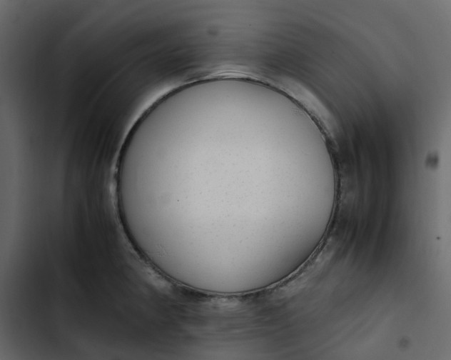 X0000102861190200809021417