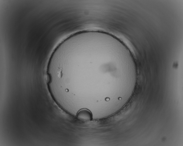 X0000102861191200809021417