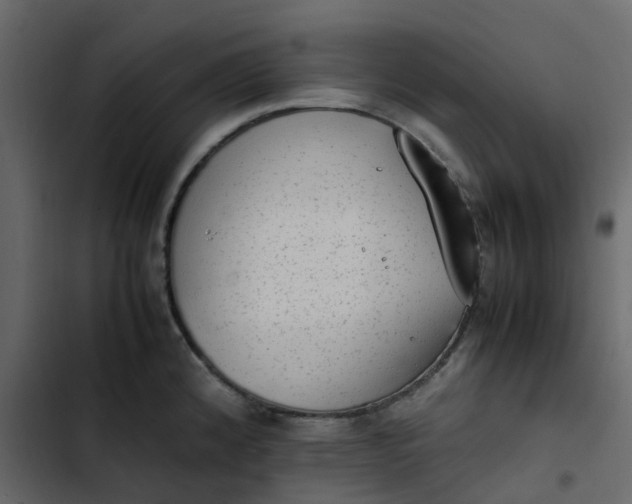 X0000102861192200809021417