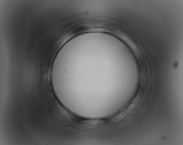 X0000102861193200809021417