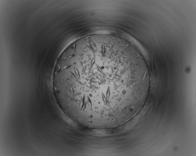 X0000102861194200809021417