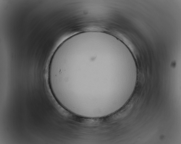 X0000102861195200809021417