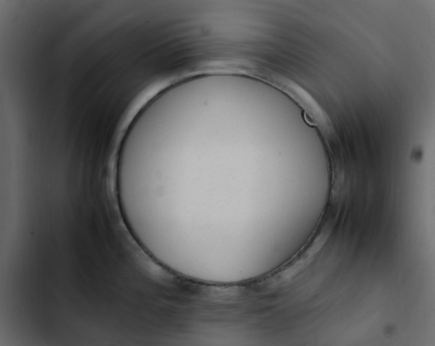 X0000102861196200809021417