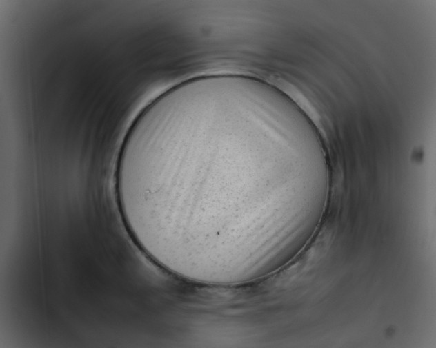 X0000102861197200809021417