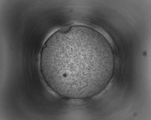 X0000102861198200809021417