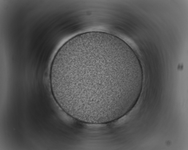 X0000102861200200809021417