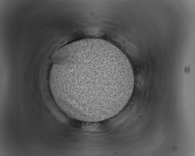 X0000102861201200809021416