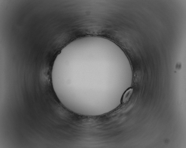 X0000102861202200809021416