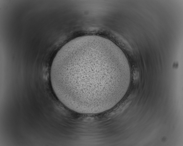 X0000102861204200809021416