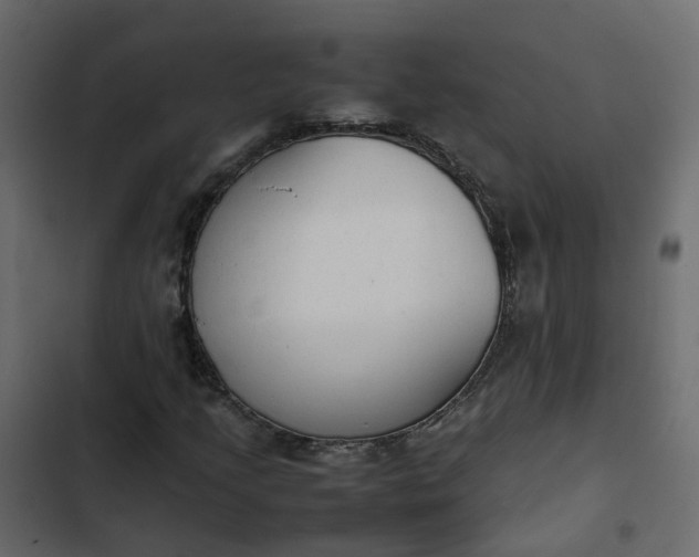 X0000102861205200809021416