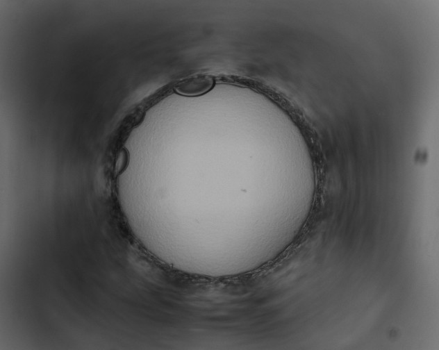 X0000102861207200809021417