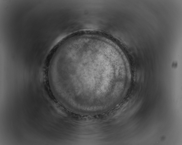 X0000102861208200809021417