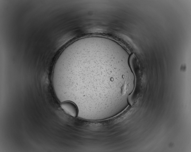 X0000102861209200809021417