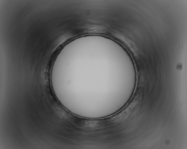 X0000102861211200809021417