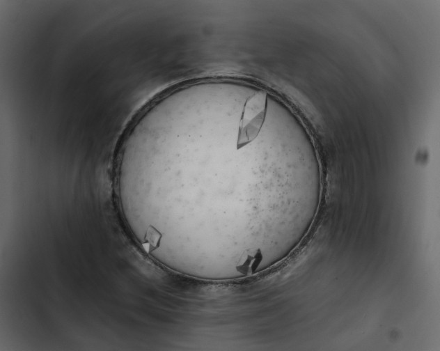 X0000102861212200809021417