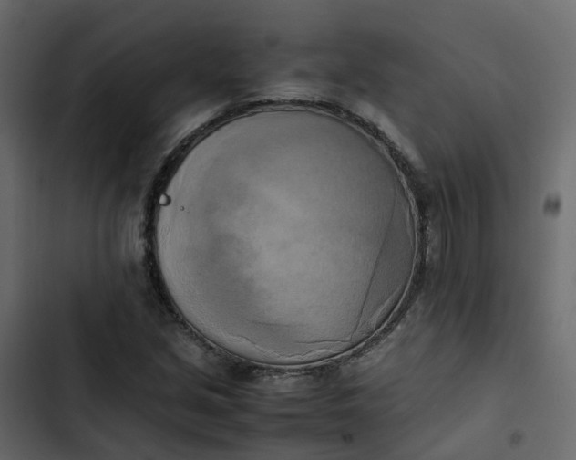 X0000102861213200809021417