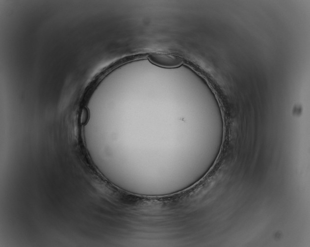 X0000102861214200809021417