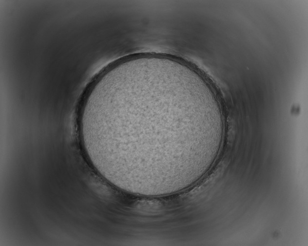 X0000102861215200809021417