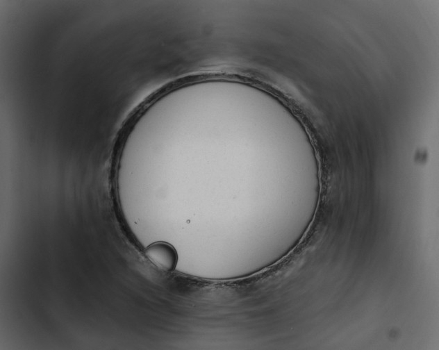 X0000102861216200809021417