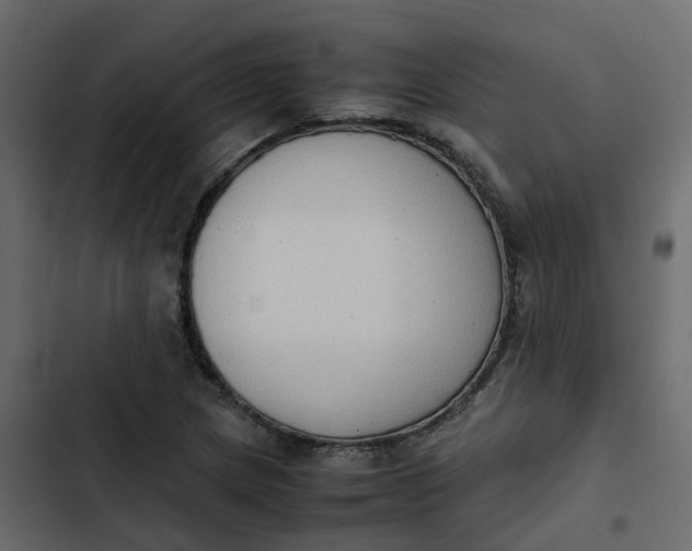 X0000102861217200809021417