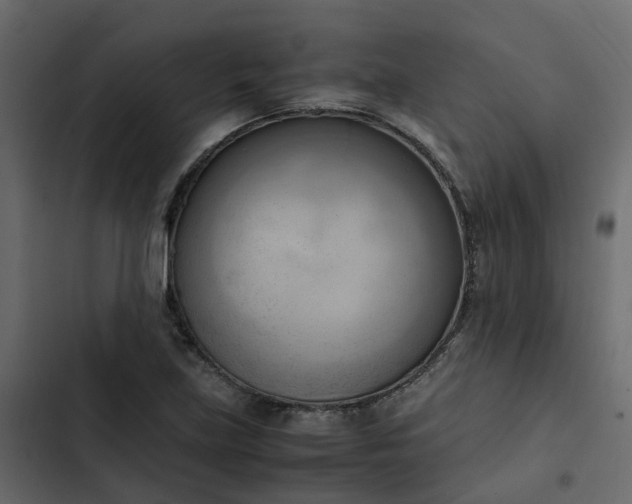 X0000102861219200809021417