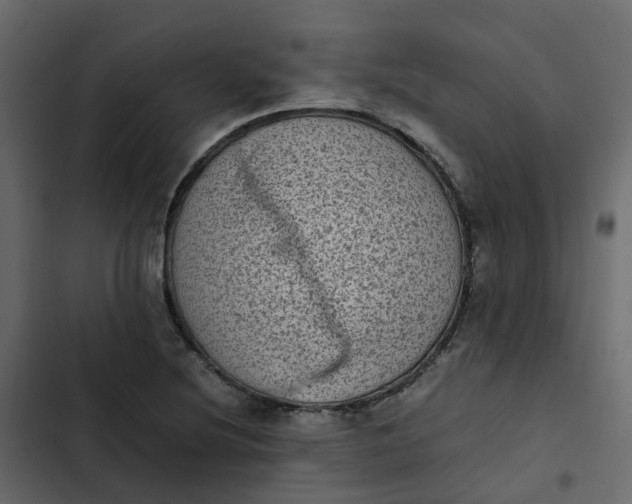 X0000102861220200809021417