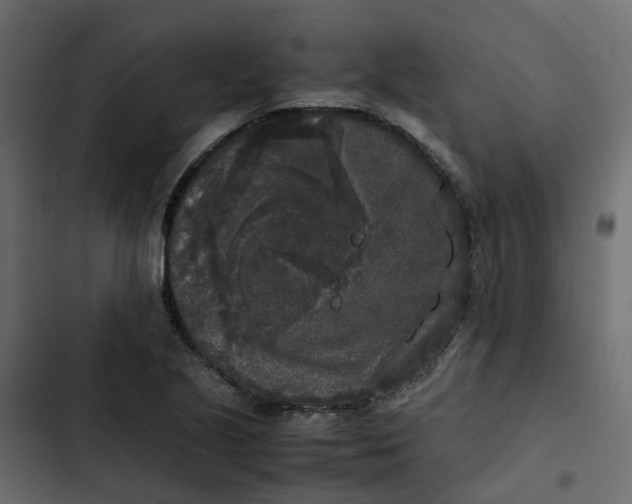 X0000102861221200809021417