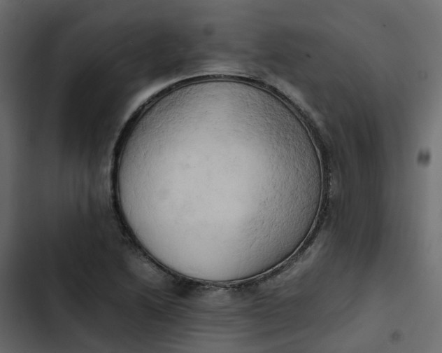 X0000102861222200809021417