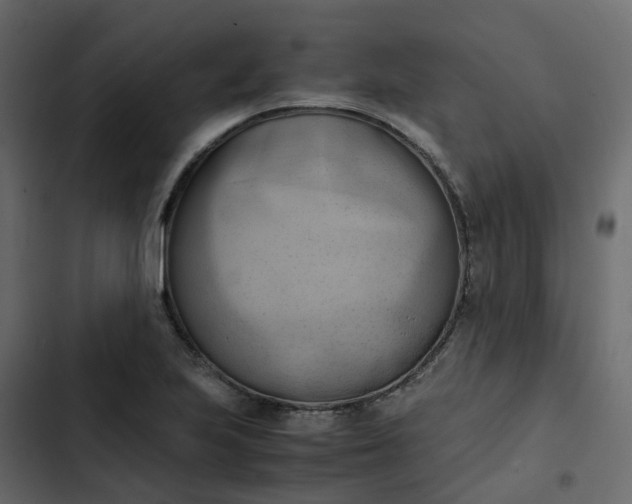 X0000102861223200809021417