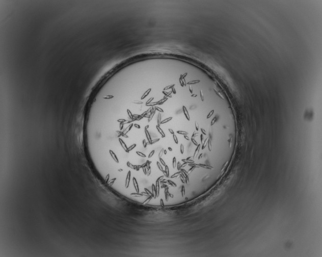 X0000102861224200809021417