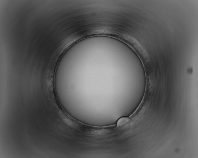 X0000102861225200809021417