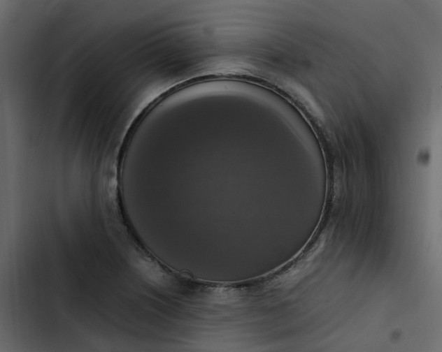 X0000102861226200809021417