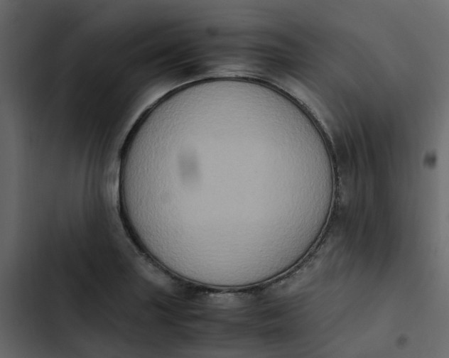 X0000102861227200809021417