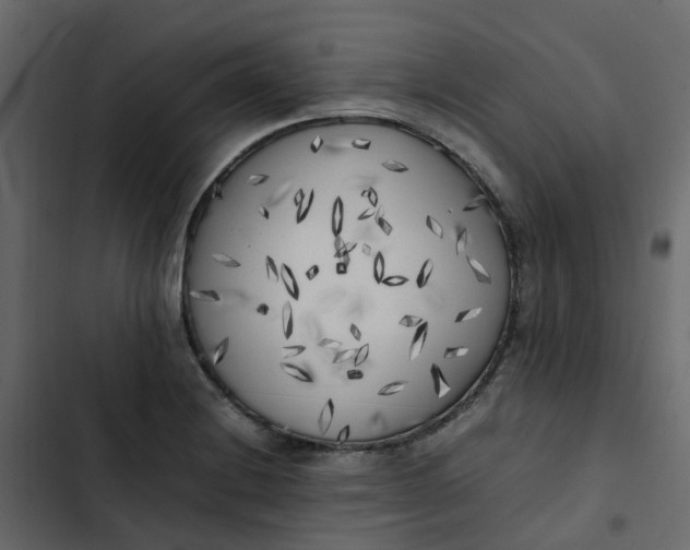 X0000102861228200809021417