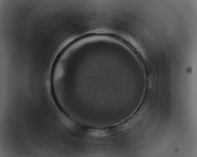 X0000102861229200809021417