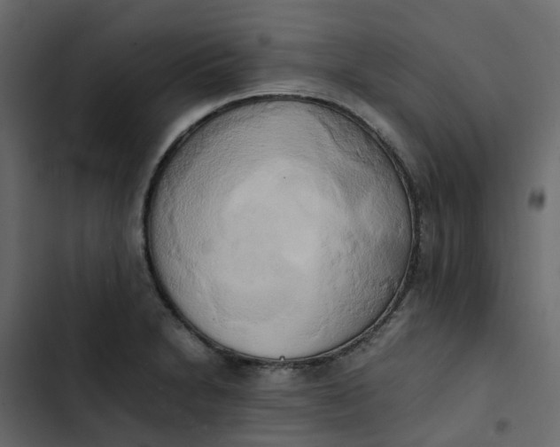 X0000102861230200809021417