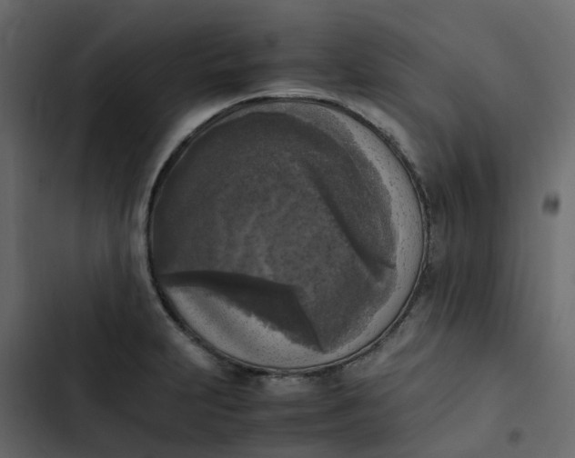 X0000102861231200809021417