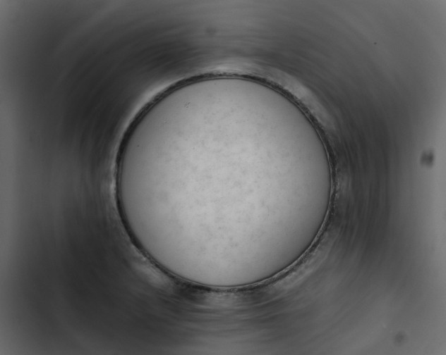 X0000102861232200809021417