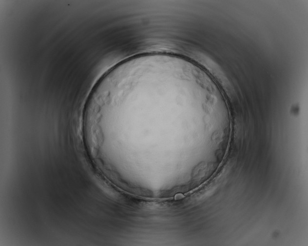 X0000102861234200809021417