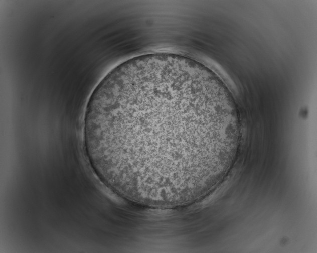 X0000102861236200809021417