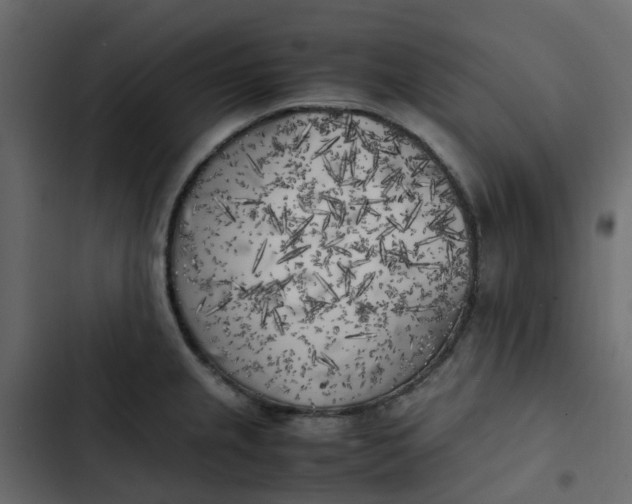 X0000102861237200809021417