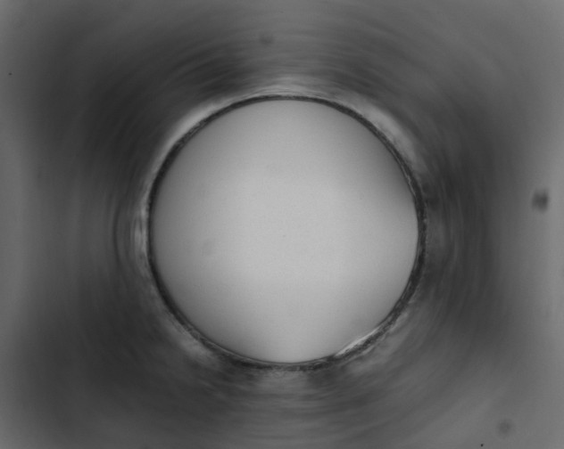 X0000102861238200809021417