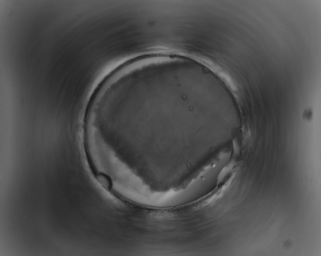 X0000102861239200809021417