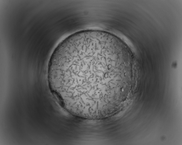 X0000102861240200809021417